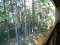 /album/treetop-condo/treetop15-jpg/