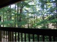 /album/treetop-condo/treetop14-jpg/