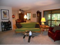 /album/treetop-condo/treetop8-jpg/